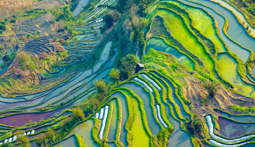 走进振兴区TVC拍摄：解锁本地化场景与创意镜头的完美融合